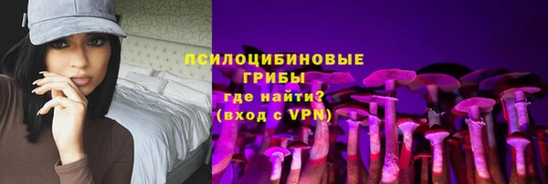 соль ск Осинники