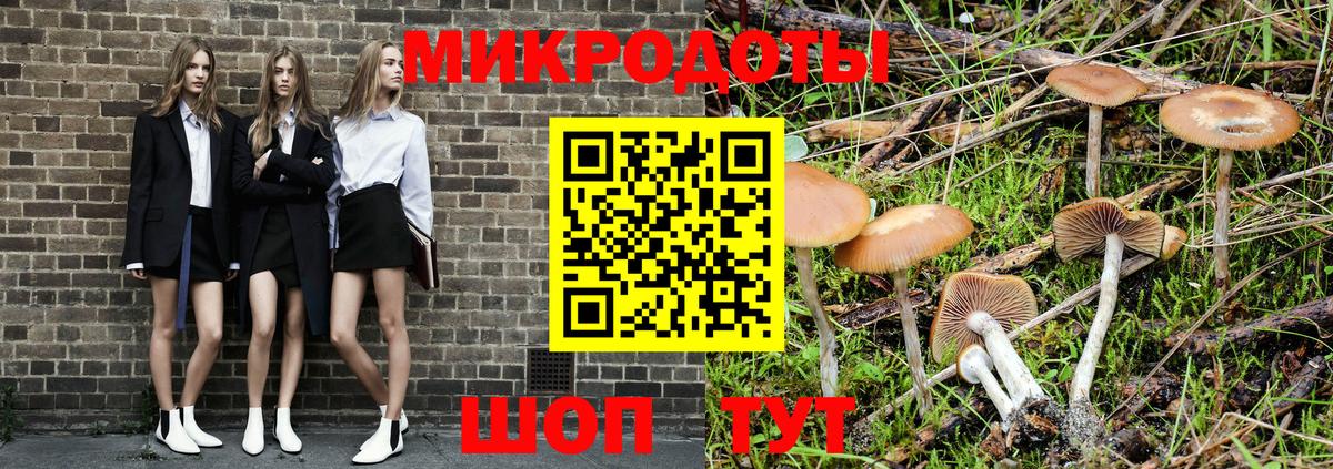 Галлюциногенные грибы прущие грибы  Вход с VPN  Черногорск 